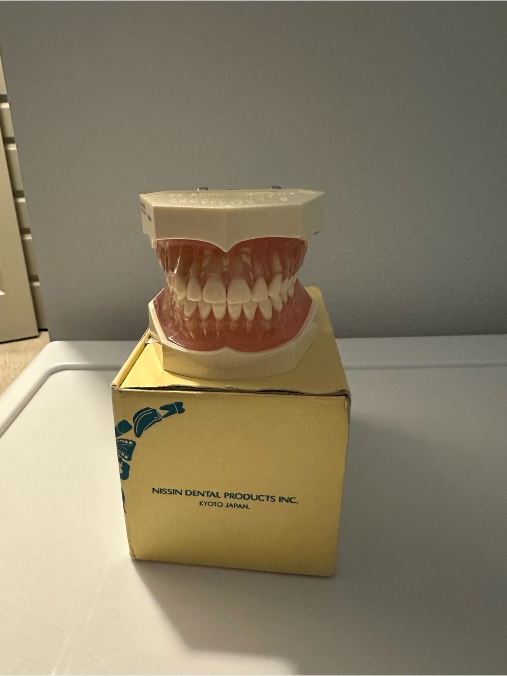 Kilgore Nissin Dental Education Model